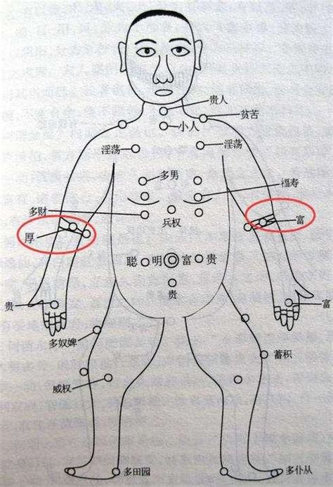 左手小臂有痣|從手上的痣看你的好運在哪？上手臂有痣善於察言觀色。